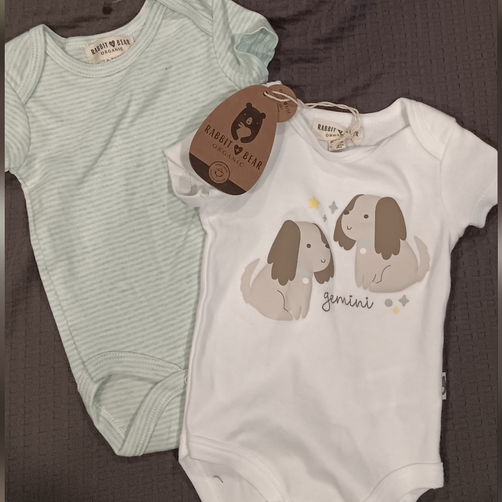 2pc Set Body Suit Baby Size 0-3 Gemini Dog, Stripes-White & Teal Organic Cotton